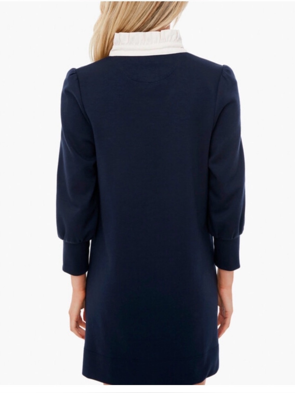 Pomander Place Navy Shift Dress with Ivory Ruffle Collar - Picture 5 of 7